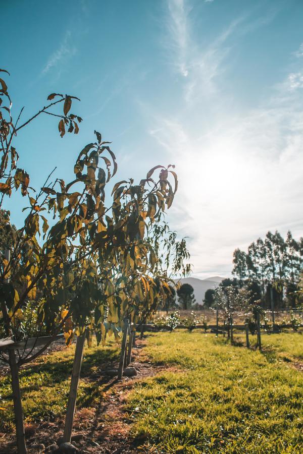 ホテル Woodside Orchard グレイタウン エクステリア 写真